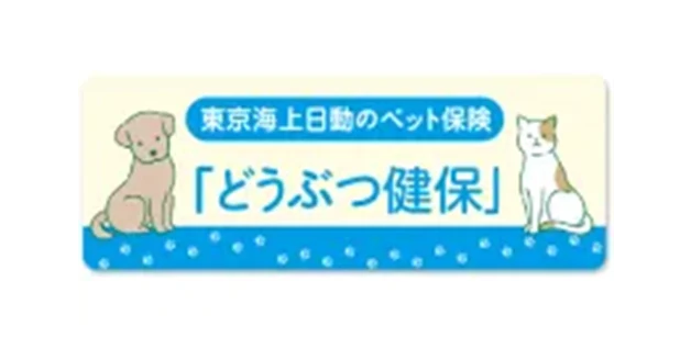 インターネット専用保険サービス 02